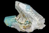 Amazonite Crystal Cluster - Percenter Claim, Colorado #168078-1